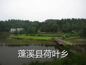 蓬溪县荷叶乡